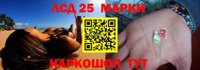 шишки Лесосибирск
