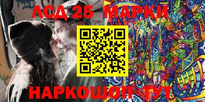 шишки Лесосибирск