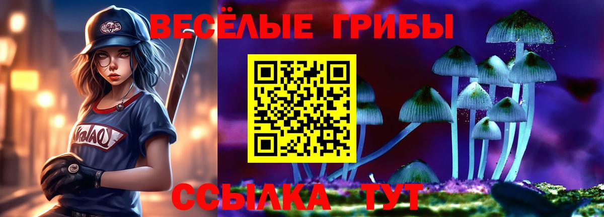 Псилоцибиновые грибы Psilocybine cubensis Снежинск